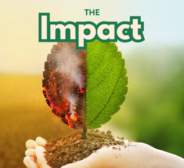 Carbon Footprint Reduction: Minimizing Our Climate Impact<br />
