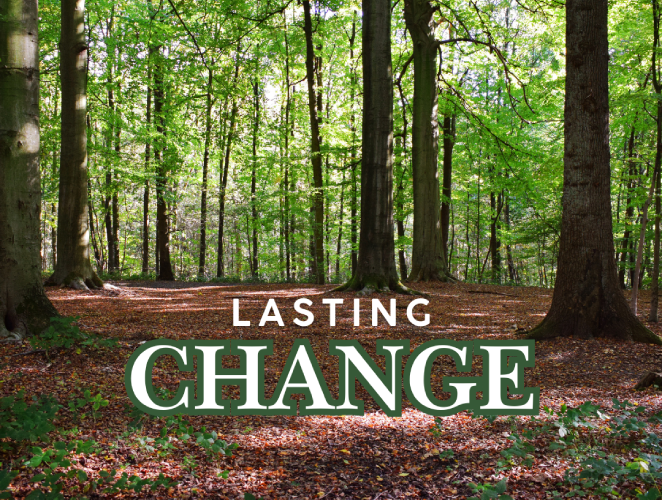 Why Life Cycle Assessment Matters<br />
