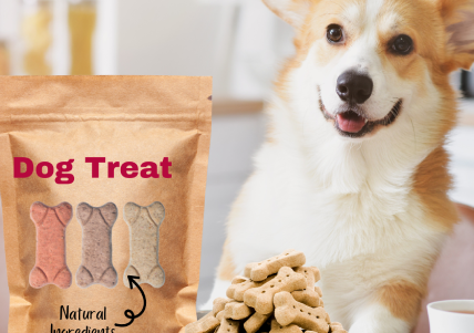 Pet Care