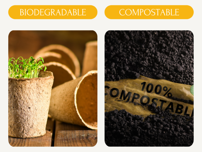 Difference Between Biodegradable and Compostable Packaging